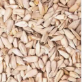 Sunflower Seeds. 