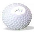 Hockey Ball. 
