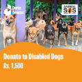 Donate to Disabled Dogs. 