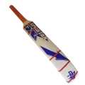 Soft Ball Cricket Bat. 