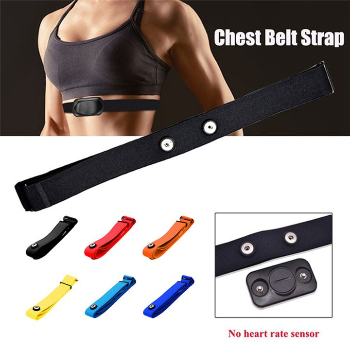 3Pcs%20for%20Heart%20Rate%20Chest%20Strap%20Adjustable%20Elastic%20Strap%20for%20Sports%20Wireless%20Monitor%20Rate%20Belt%20C%20-%20Image%203