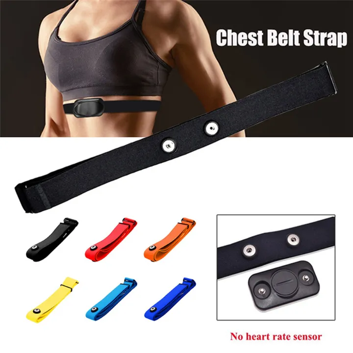 3Pcs%20for%20Heart%20Rate%20Chest%20Strap%20Adjustable%20Elastic%20Strap%20for%20Sports%20Wireless%20Monitor%20Rate%20Belt%20C%20-%20Image%203