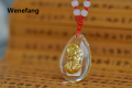 Wenefang 2025 New crystal dollar fortune pixiu pendant crystal inlaid 24K gold necklace creative gift lucky pendant. 