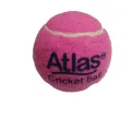 Atlas Tennis Ball/Cricket Ball/Practice Ball - Multicolor-01nos. 