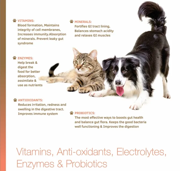 Pet%20Tummy%20Bowell%20Restorer%20Tablet%20for%20cat%20&%20dog%20-%20Image%203