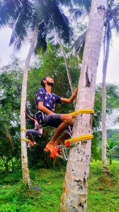 Coconut%20tree%20climbing%20tool%20(Tree%20rider)%20-%20Image%208