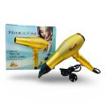 Reimiogton Professional Hair Dryer RE-2027. 
