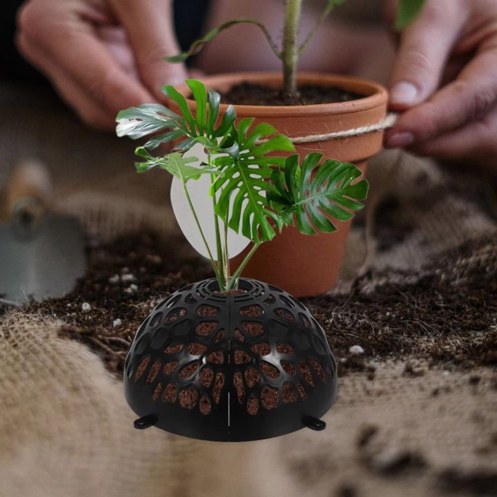 Tools Hollowed Soil Protector Cover Replaceable Transparent Planting ...