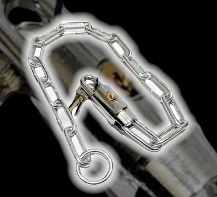Gate Chain Lock