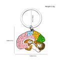 Hanreshe Medical Brain Enamel Keychain Neurology Anatomy Psychology Quality Pendant Key Chain Jewelry for Doctor Nurse. 