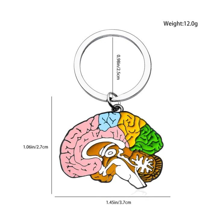 Hanreshe%20Medical%20Brain%20Enamel%20Keychain%20Neurology%20Anatomy%20Psychology%20Quality%20Pendant%20Key%20Chain%20Jewelry%20for%20Doctor%20Nurse%20-%20Image%205