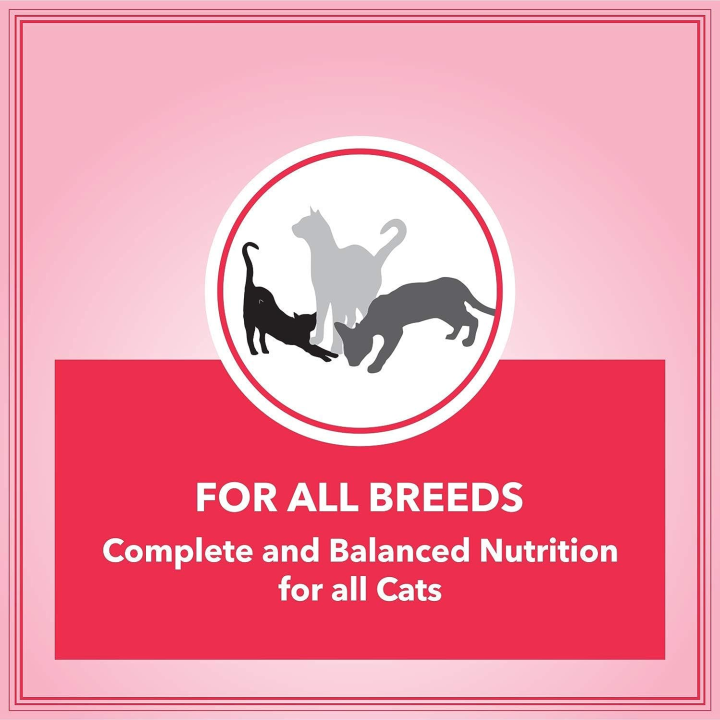 Let's%20Bite%20Active%20cat%20Food%20for%20Adults%20(400G%20X%204%20Packs)%20-%20Image%205