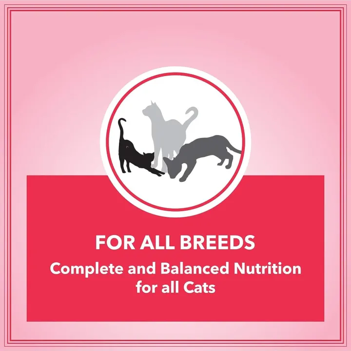 Let's%20Bite%20Active%20cat%20Food%20for%20Adults%20(400G%20X%204%20Packs)%20-%20Image%204