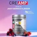Muscleblaze Creatine Monohydrate CreAMP. 