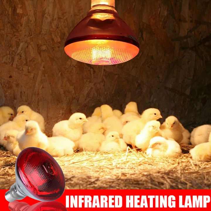 275W%20Poultry%20Infrared%20Heat%20Lamp%20Waterproof%20Anti-Explosion%20Thickened%20Light%20Bulbs%20%E2%80%8BFor%20Piglet%20Chicken%20Duck%20Birds%20E27%20Heating%20Lamp%20-%20Image%204