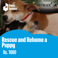 Rescue and Rehome a Puppy- Rs. 1,000. 