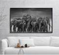 Wall prints and peninsula wildlife elephant black African canvas painting Scandinavian Cuadros living room art painting. 