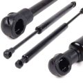 PDTYMWNG 4Pcs Rear Trunk Shocks Lift Strut Support 51248254281 for 3 Series E46 323 325 328 330 M3. 