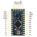 Arduino Pro Mini 328. 