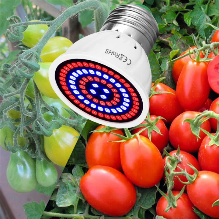 E27%205W%206W%208W%2048/60/80LED%20Grow%20Lamp%20Plant%20Light%20Full%20Spectrum%20Growing%20Hydroponic%20Red,%20Blue,%20White%20,Warm%20White%202835SMD%20Flower%20Bulb%20For%20Growth%20Garden%20Greehouse%20-%20Image%207