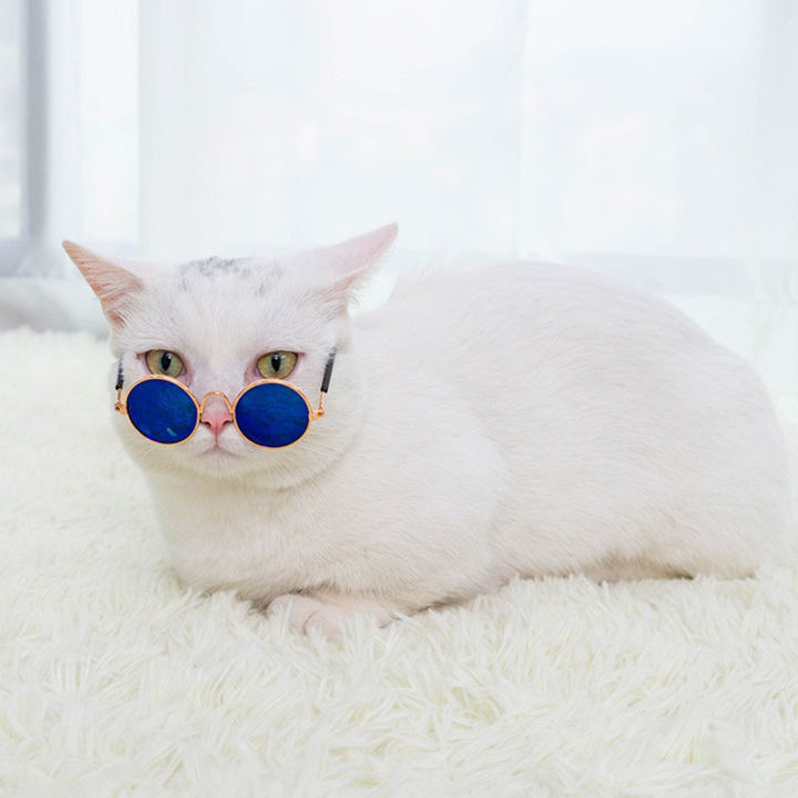 EzyMart%20-%20Round%20Cat%20Sunglasses%20Reflection%20Eye%20wear%20glasses%20For%20Small%20Dog%20Cat%20Pet%20Photos%20Props%20Accessories%20-%20Image%209