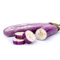 Eggplant Lenaeri, Wambatu, 1g, 350+ Seeds. 