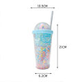 Double Layers Rainbow Plastic Water Bottle With Straw Creative 550ml Mug TAOPA. 