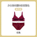 TZ Japanese Style Sweet Lace Vintage Rose Flower Underwear Women's Thin Push-Up No-Rings Comfortable Breathable Bra Set. 