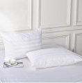 Pillow Protector 20x30 Size 100% Egyptian Cotton Pillow Covers, Weave Cooling Pillow Cases with Zipper Hidden, Breathable Non Noisy Easy Care, 2 Peices. 