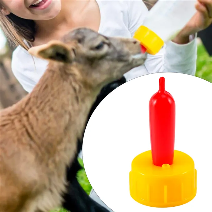 20%20Pieces%20Lamb%20Teat%20Feeder%20Bottle%20Topper%20Feeding%20Milk%20Drinking%20for%20Sheep%20Goat%20Pup%20Dog%20-%20Image%207