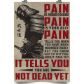 Pain Wall Poster / size 18x12 inches / Frame Optional / Printed / posters / IMG 10.35 / room décor posters. 