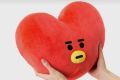 TATA  Cushion/ Pillow, BT21  Tata  Face Cushion.. 