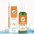 Crysalis 100% Pure Natural Eucalyptus Hydrosol Floral water Uncut Steam distilled leaves & Twigs (Eucalyptus globules) Facial Mist spray Insect & bug repellent Astringent for Skin Irritations- 100 MLFROM INDIA)JEZ. 