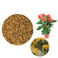 Osmocote All Purpose  N:P:K 14:14:14 Fertilizer 100g cs agro. 