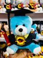 Graduation Teddy Bear | Graduation Gift Degree Bear | University Convocation Gift | Diploma Gift (24cm). 