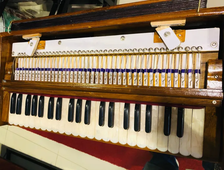 Nanda%20Brand%20Harmonium%20Serpina%202%20Set%20with%20Bag%20%7C%202%20Year%20Warranty%20Indian%20Serpina%20with%20Stick%20Keys%20Teak%20Wood%20%20%E0%B7%83%E0%B6%BB%E0%B7%8A%E0%B6%B4%E0%B7%92%E0%B6%B1%E0%B7%8F%202%20year%20warranty%20Stick%20Keys%20Teak%20Wood%20(Made%20With%20Premium%20Quality%20Reeds)%20indian%20serpina%20indian%20harmonium%20piano%20keyboard%20traditional%20instrument%20-%20Image%206