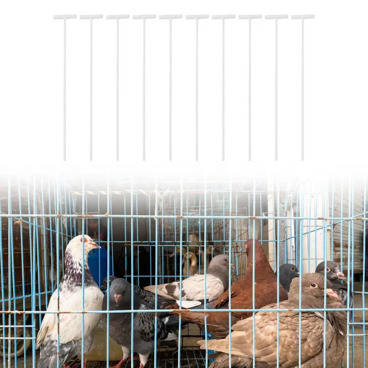 Gentlemange%2010Pcs%20Pigeon%20Birds%20Entrance%20T%20Traps%20Metal%20for%20Birds%20Cage%20Yard%20-%20Image%204
