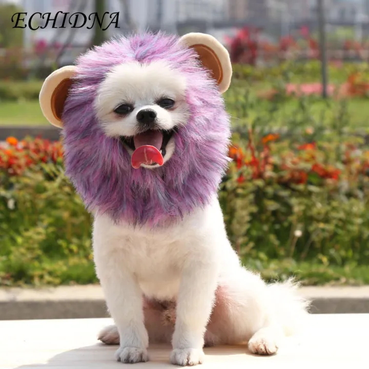 Three-dimensional Ears Pet Hat Soft Comfortable Lion-shaped Pet Hat with Fastener Tape Perfect for Dogs Cats