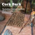 Natural Reptile Bark Cork Bark Hide for Isopods - Reptiles Exotic Pets Terrariums. 