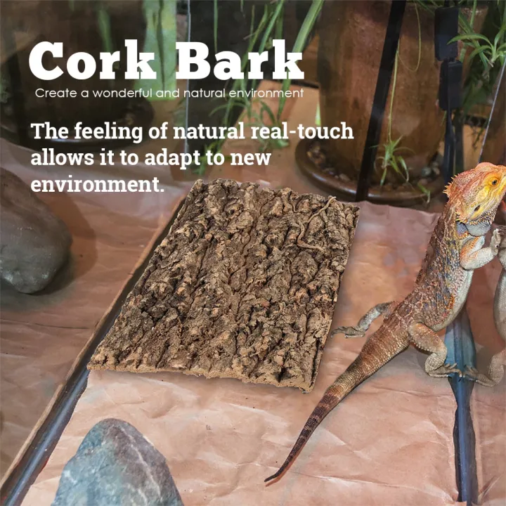Natural%20Reptile%20Bark%20Cork%20Bark%20Hide%20for%20Isopods%20-%20Reptiles%20Exotic%20Pets%20Terrariums%20-%20Image%206