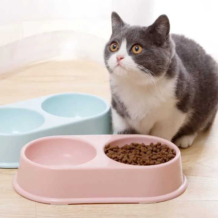 Double Pet Bowls Cat Food Water Feeder