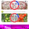 12V 5050 5m LED Strip Grow light Full Spectrum LED Flower Plant Phyto Growth lamp For Greenhouse Hydroponic Plant Growing. 