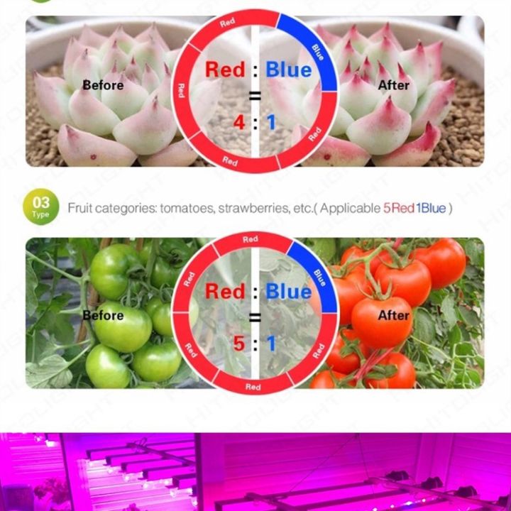 12V%205050%205m%20LED%20Strip%20Grow%20light%20Full%20Spectrum%20LED%20Flower%20Plant%20Phyto%20Growth%20lamp%20For%20Greenhouse%20Hydroponic%20Plant%20Growing%20-%20Image%205