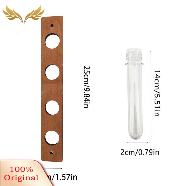 SuperRide Plant Propagation Tubes Modern Wooden Wall Hanging Flower ...