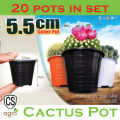 Cactus Plastic Flower Pot 5.5cm*5cm 20pots in set Garden Plant Seeds. 