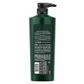TRESemme Botanique Nourish & Replenish Shampoo 580 ml|| With Olive & Camellia Oil for Frizz Control & Hair Growth|| Paraben Free|| Smoothens Dry Hair  (FROM INDIA SAB). 