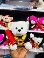 Graduation Teddy Bear | Graduation Gift Degree Bear | University Convocation Gift | Diploma Gift (24cm). 