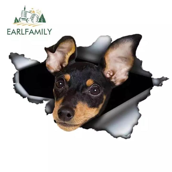 Car Rear Window & Rear Buffer Dog Type Sticker- 1Pcs | Daraz.lk