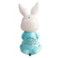 WIND-UP TOY RABBIT / TOY RABBIT FOR KIDS / PLASTIC TOY RABBIT. 