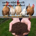 100% Organic   Battary Cage Poultry Manure Chicken Manure කුකුල් පොහොර. 